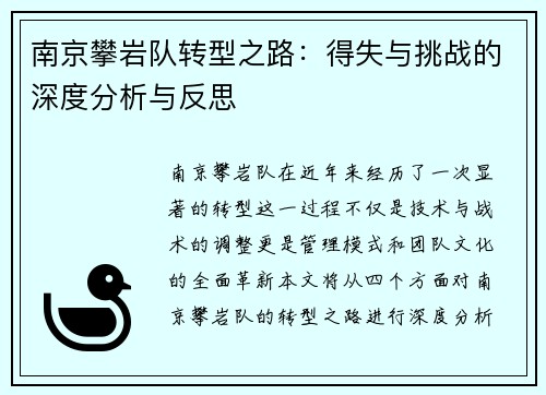 南京攀岩队转型之路：得失与挑战的深度分析与反思